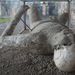 20090117_naplestrp_47_pompei